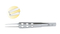 SF-11112-2 Toothed Forceps