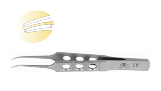 SF-11084-2 Hoskins / Notched Forceps