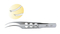 SF-11117-2 Colibri Conjunctiva Toothed Forceps